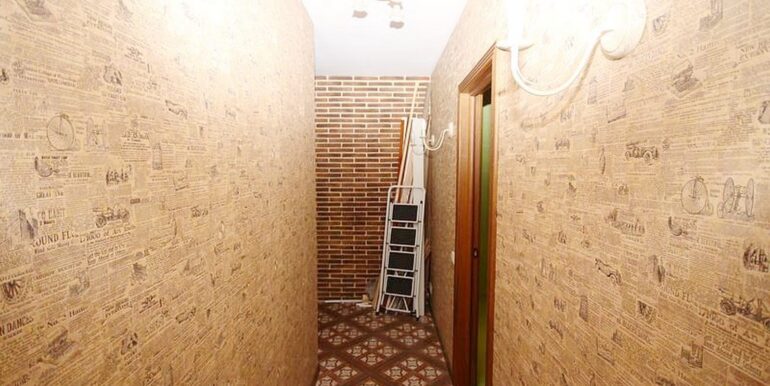 IMG_0387-web-web